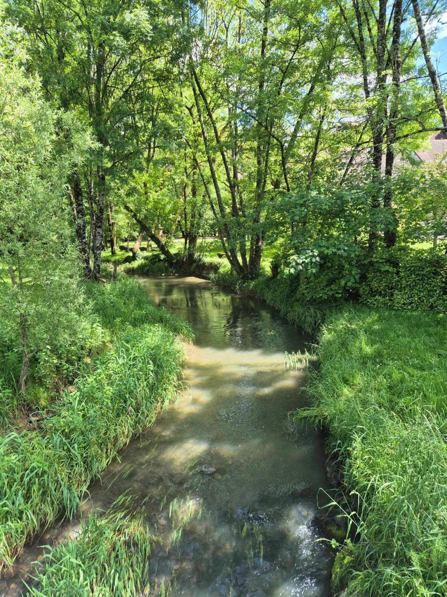 Au Lavoir Du Serein "L'Eventail" Saint-Germain-les-Arlay Bagian luar foto